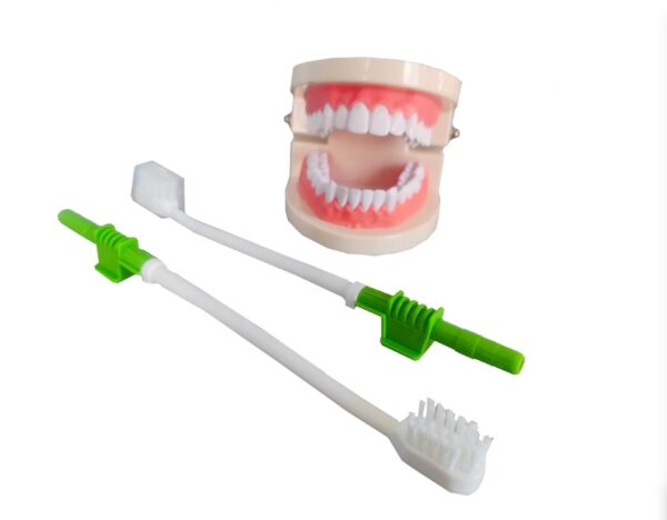 Suction brush